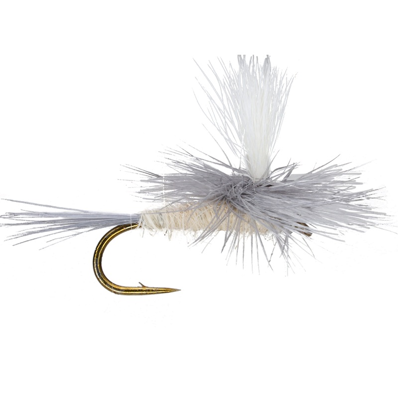 Parachute PMD|14|16|18|20