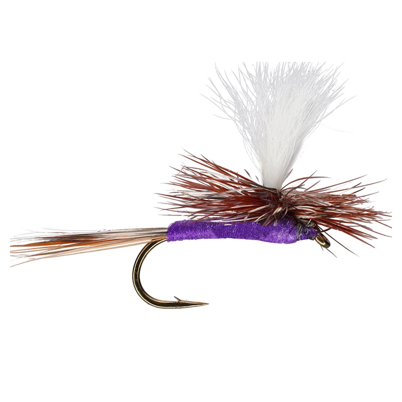 Parachute Purple Haze|12|14|16|18