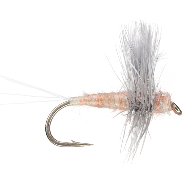 Pink Cahill|14|16|18