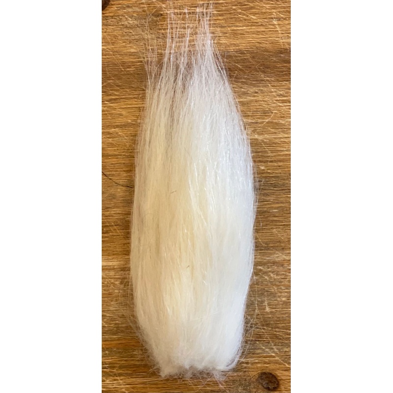 Polar Bear (Synthetic)|Variant 1|Variant 2