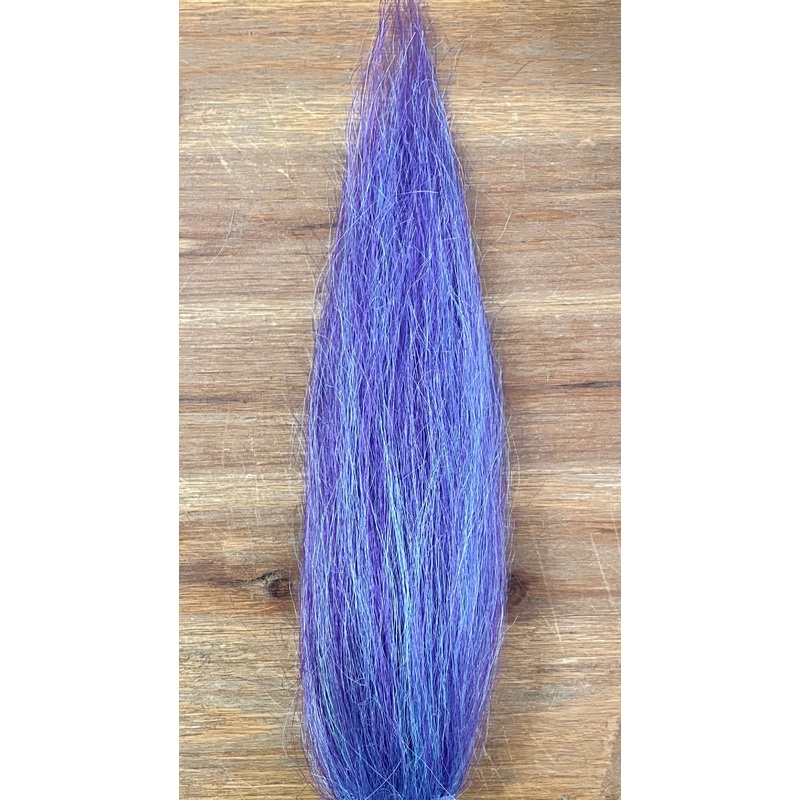 Purple Lotus