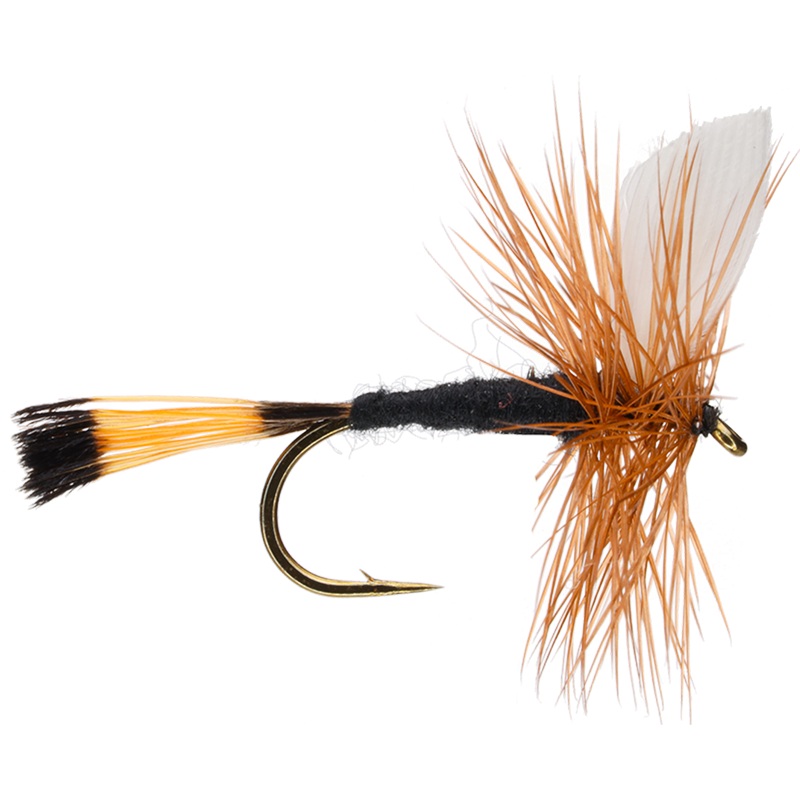 Rio Grande King|10|12|14|16