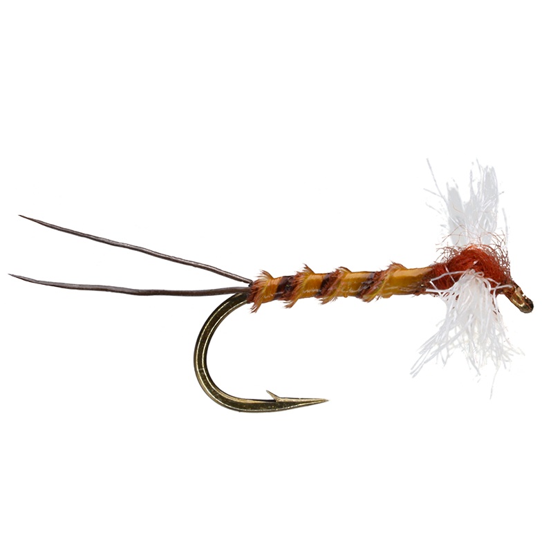Spent Rusty Spinner|14|16