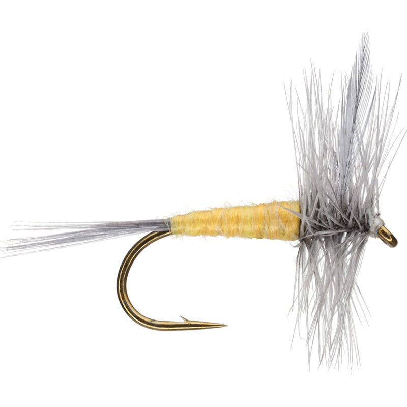 Sulphur Dun|12|14|16