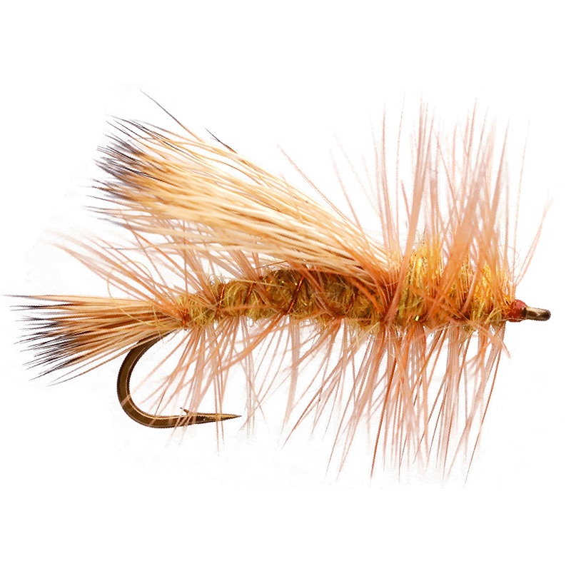 Adult Golden Stone|8|10