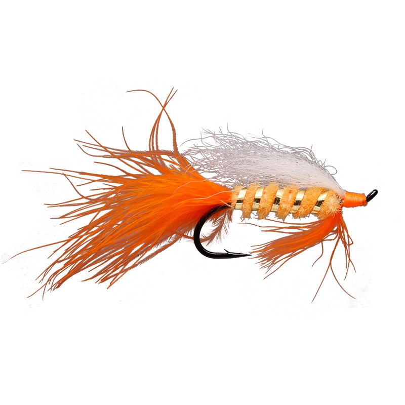 Alaskan Polar Shrimp