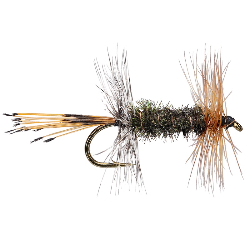 Arizona Peacock Lady|10|12|14