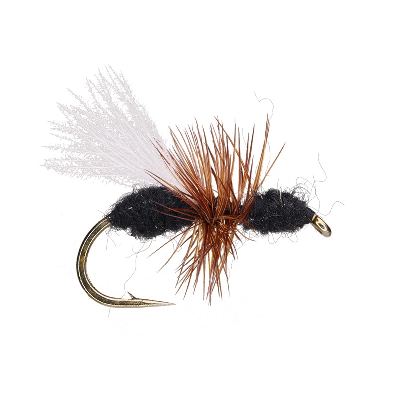 Black Flying Ant|14|16