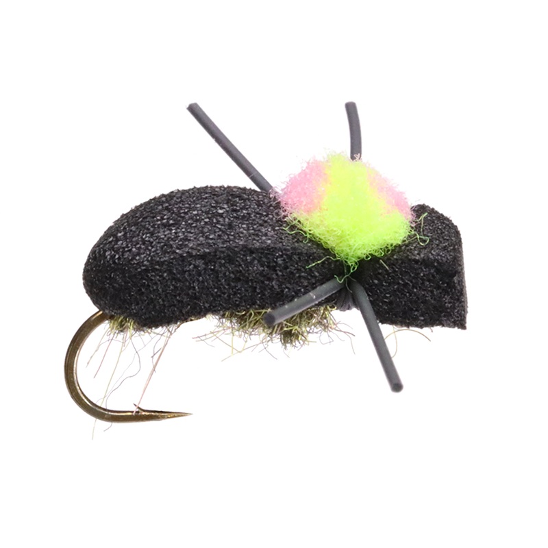 Black Foam Beetle|12|14