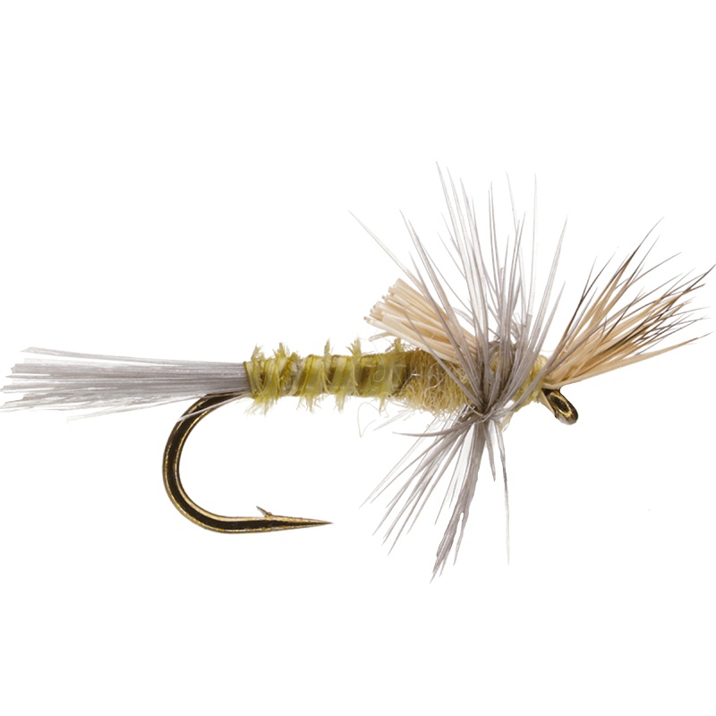 Cripple PMD|16|18|20