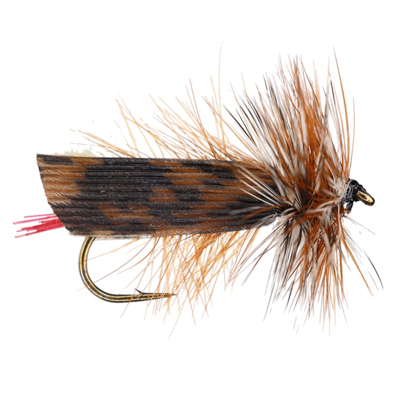 Joe’s Hopper|6|8|10|12