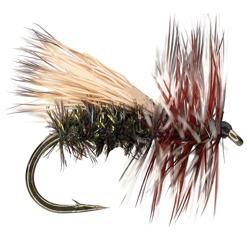 Peacock Caddis|14|16|18