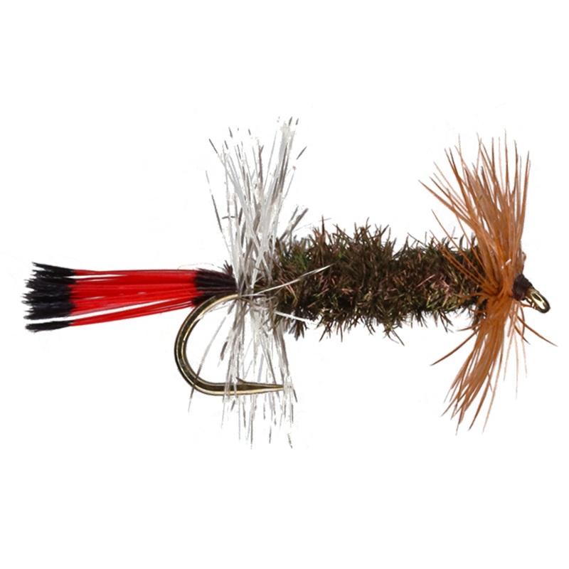 Red Arizona Peacock Lady|12|14