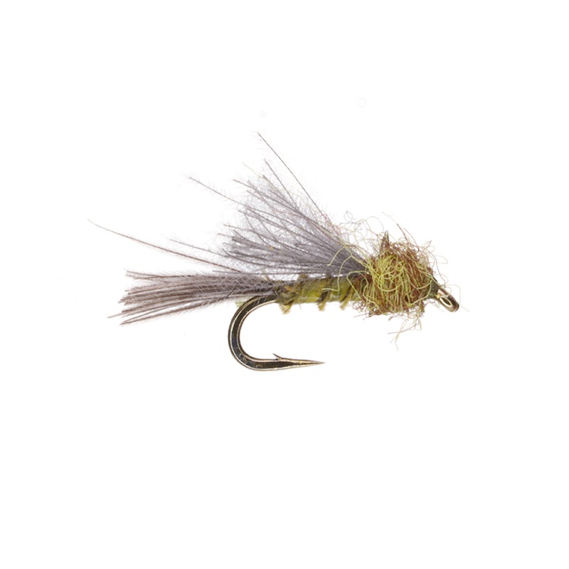 RS2 BWO|16|18|20