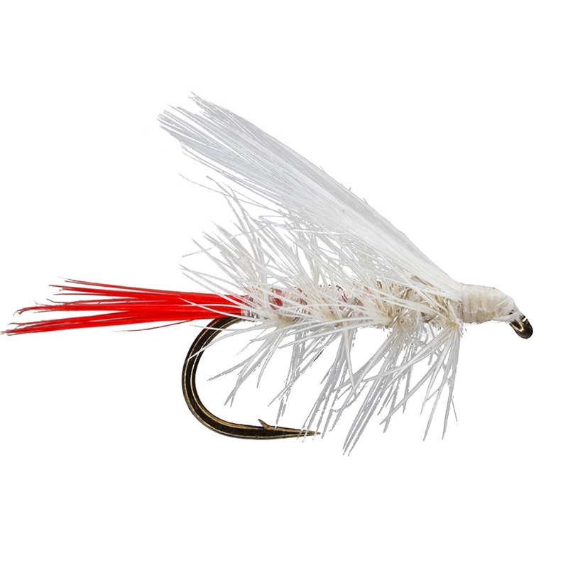 South Fork Shrimp|12|14|16