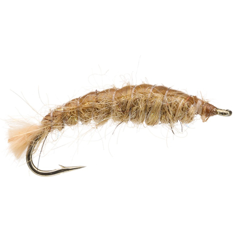 Tan Crane Fly Larva