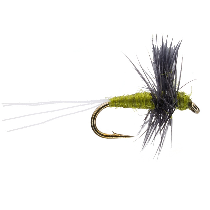 Thorax Blue Wing Olive|18|20