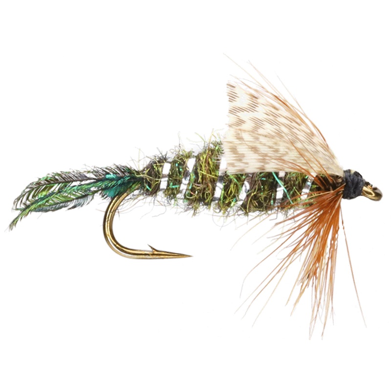 Zug Bug|10|12