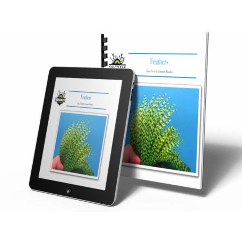 Feathers – Tips, Tricks & Common Mistakes (eBook)