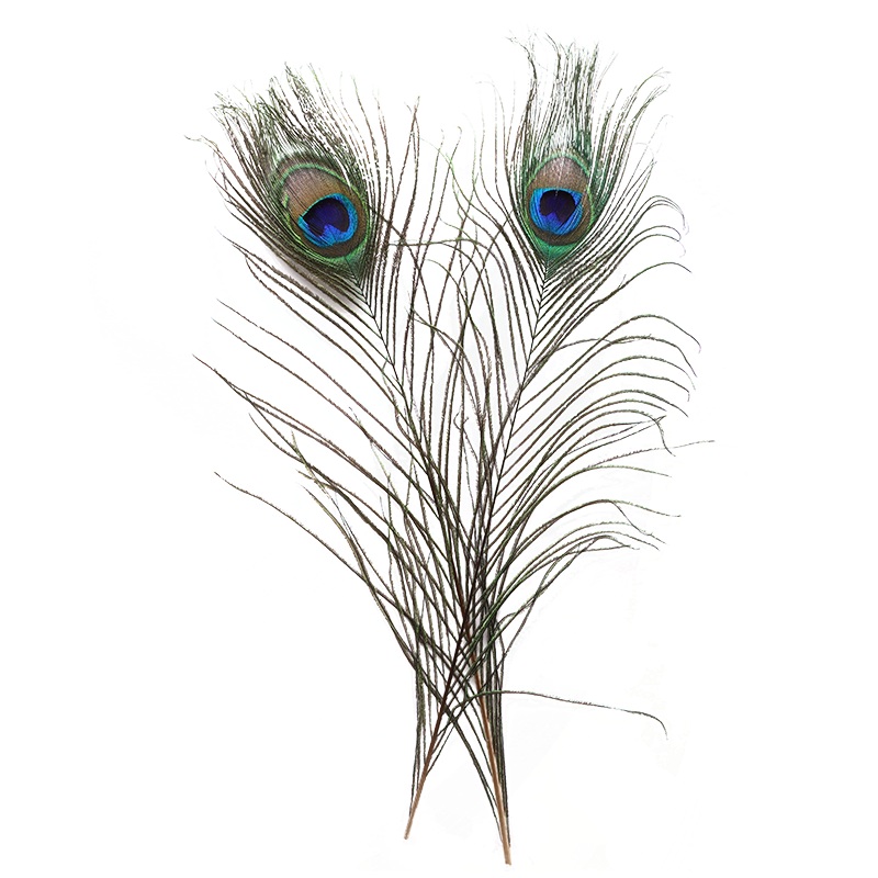 Peacock Feather Pair