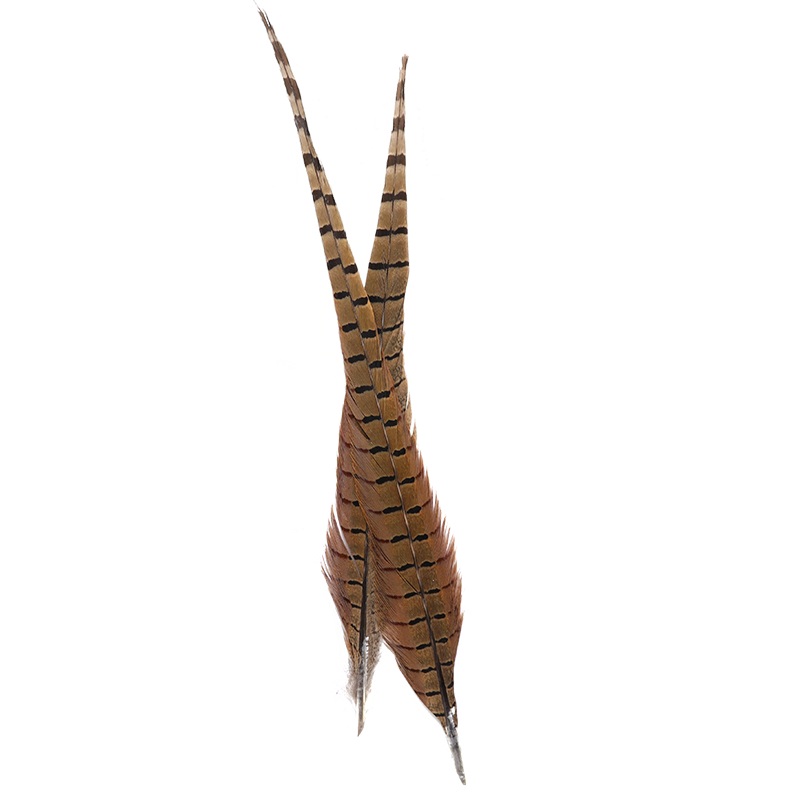 Pheasant Tail Feather Pair
