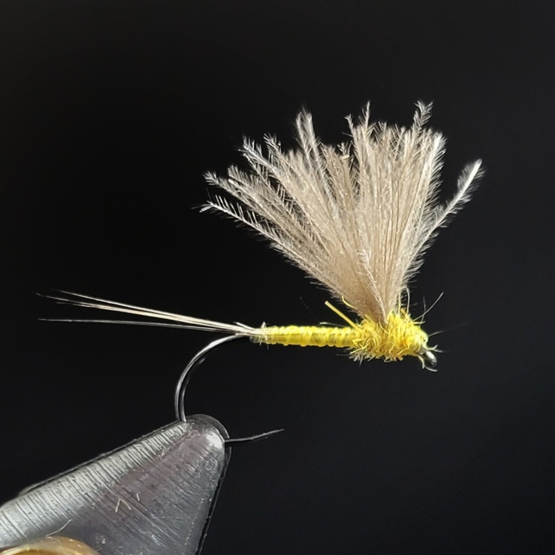 Yellow Mayfly|14|16|18