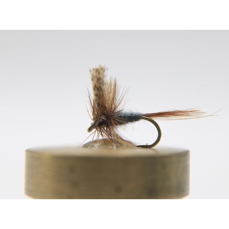 Cahill Dark Dry|14|16