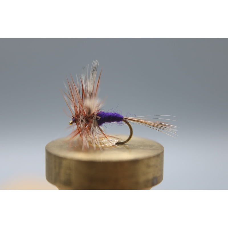 Purple Haze Dry|10|12|14|16|18