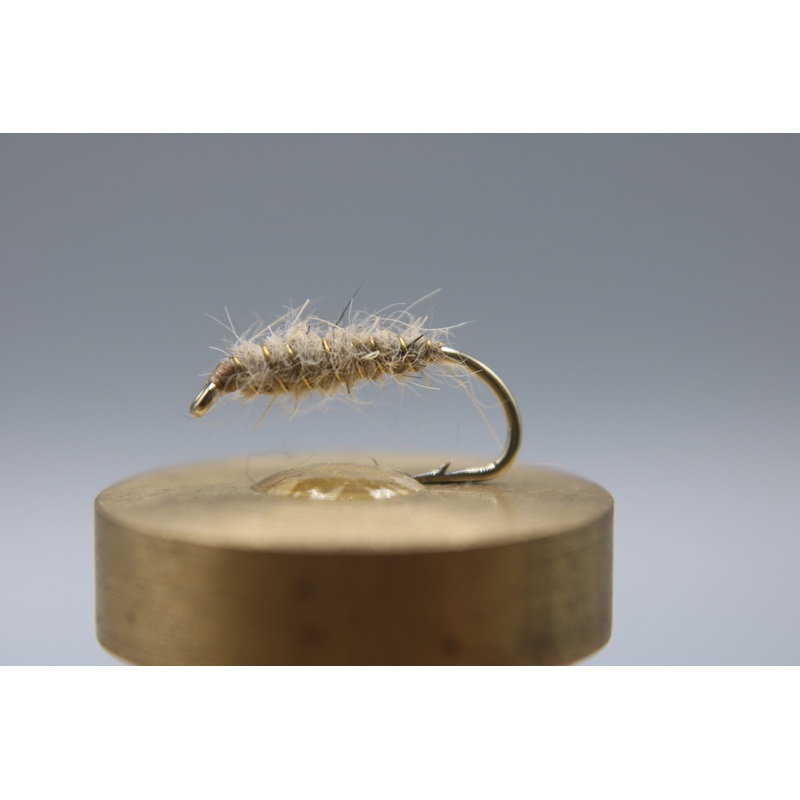 Walts Worm|10|12|14|16|18