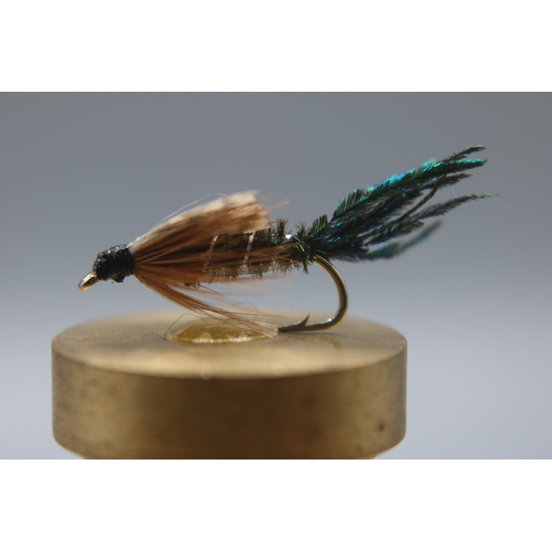 Zug Bug|10|12|14|16|18