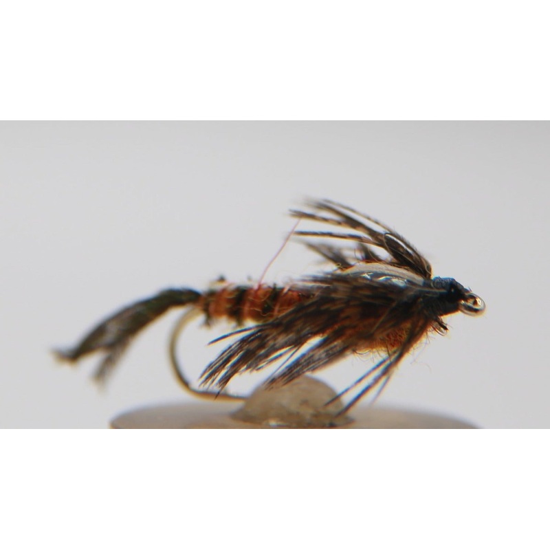 Isonychia Nymph|10|12|14