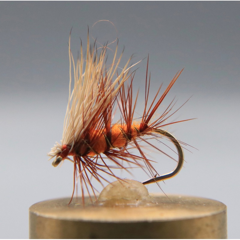 October Caddis Dry|10|12|14