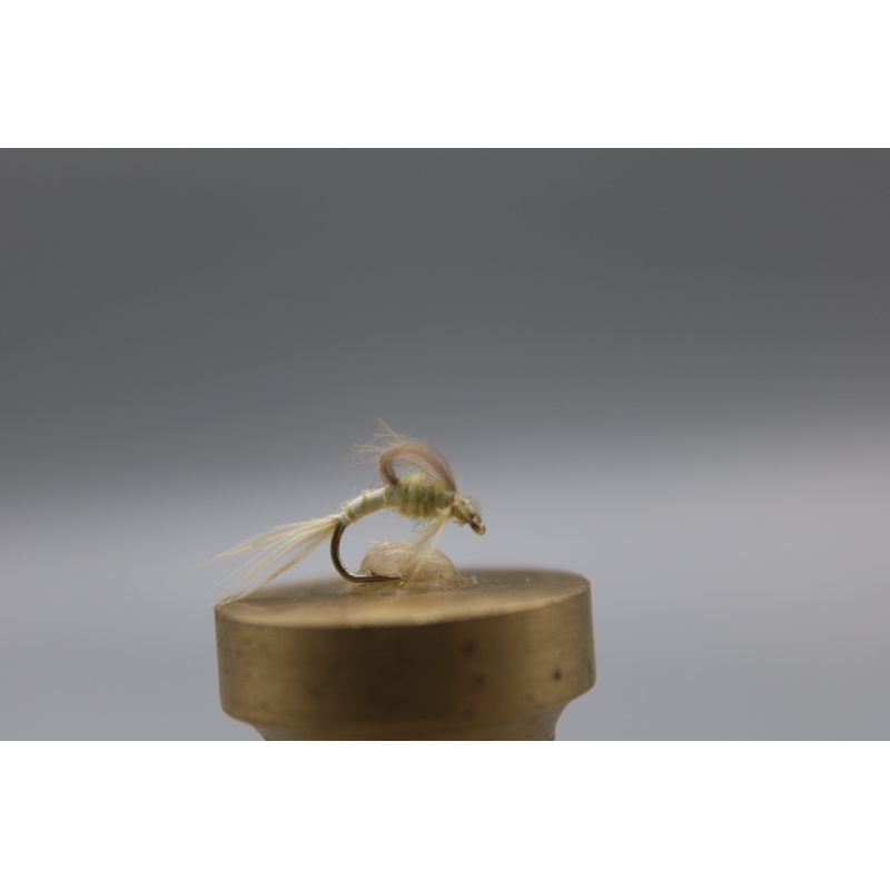 Pale Morning Dun CDC Loop Wing Emerger Dry