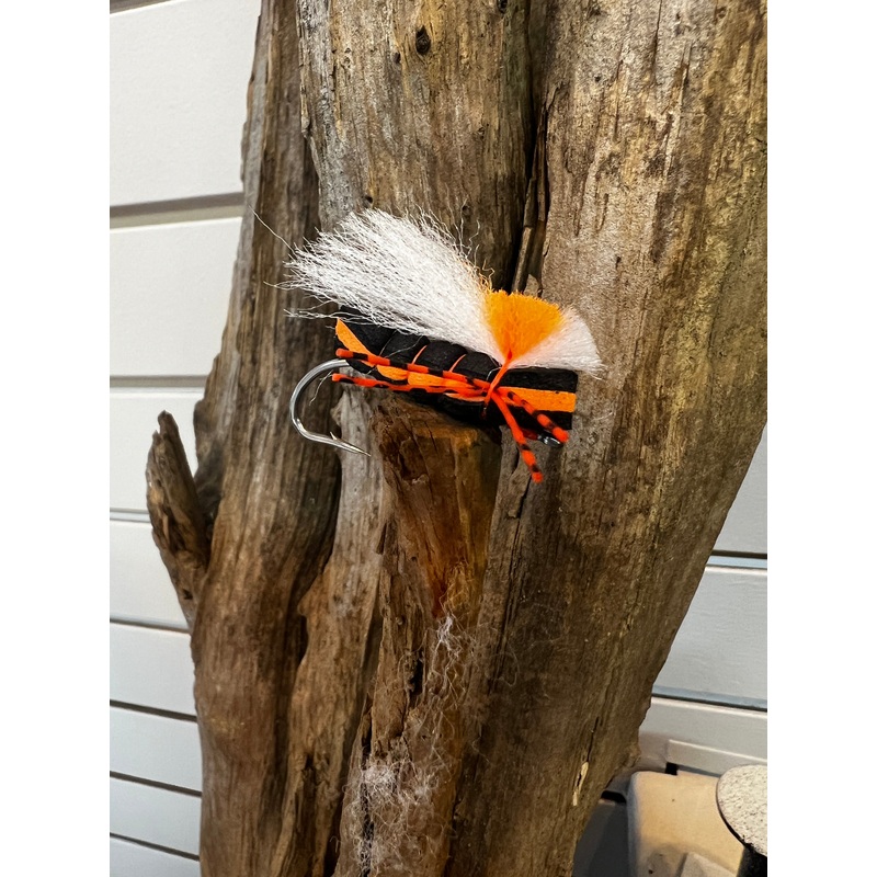 RF Brood Cicada|6|Black/Orange