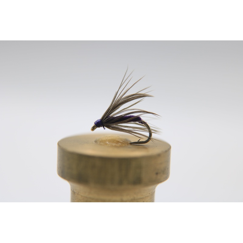 Starling and Purple Wet Fly|10|12|14|16