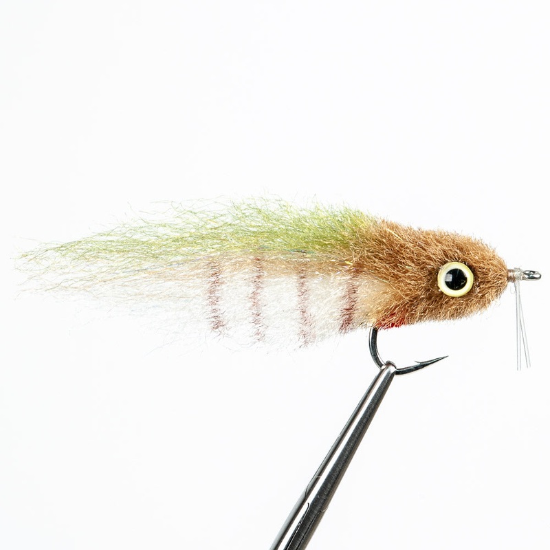 EP Everglades Special||1/0||2/0