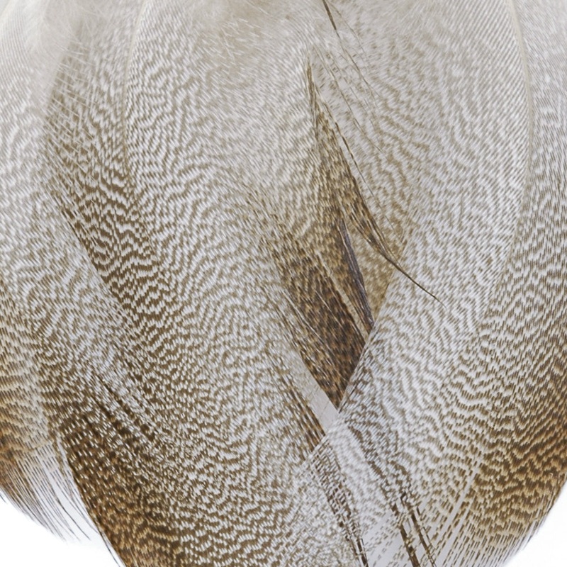 Mallard Bronze|Regular|Large