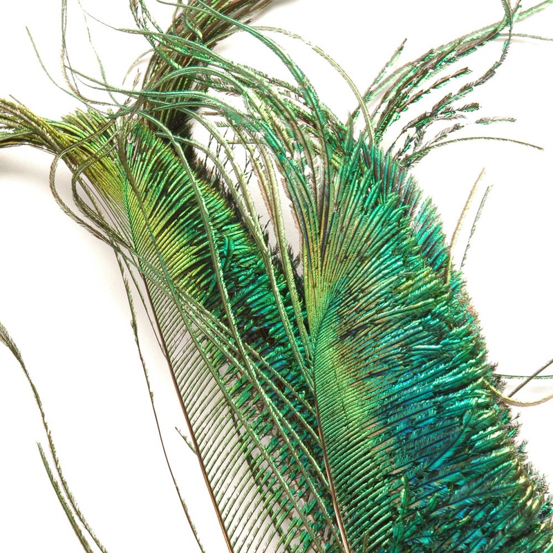 Peacock Swords