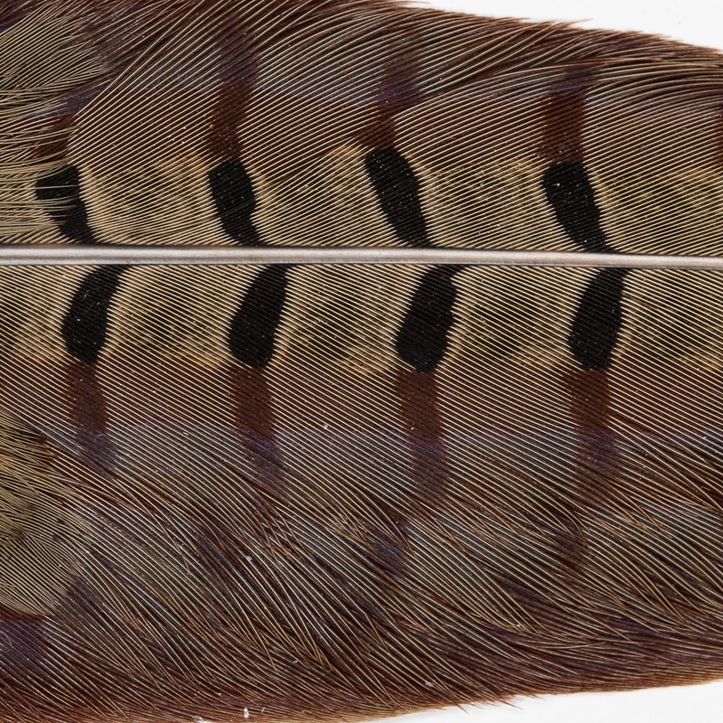 Pheasant Tail Clump|Natural
