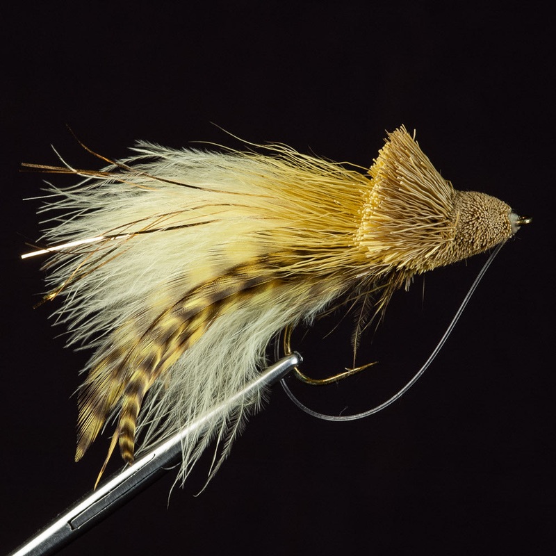 Diving Bug, Dahlberg|Frog||2||6