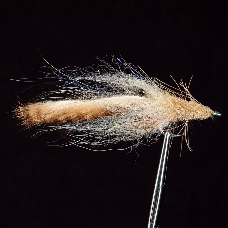 EP Suspending Tarpon Special||1/0|Tan