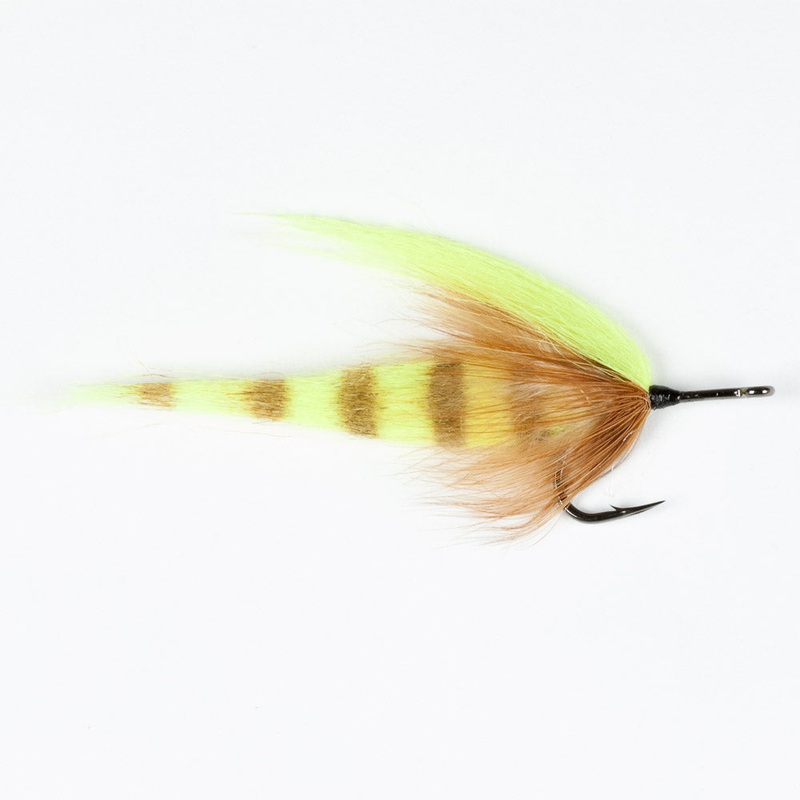 Green Zima|Green Zima