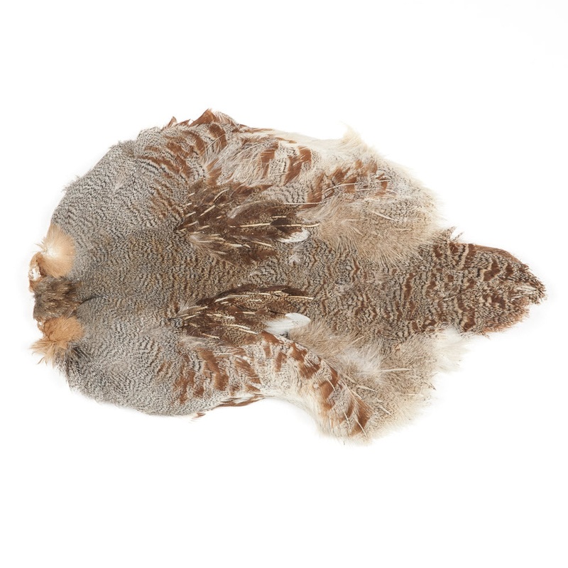 Hungarian Partridge Skin – Natural, #1