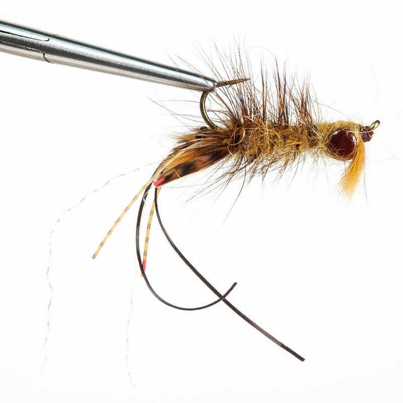 Near Nuff Crayfish|Brown||4||6||8