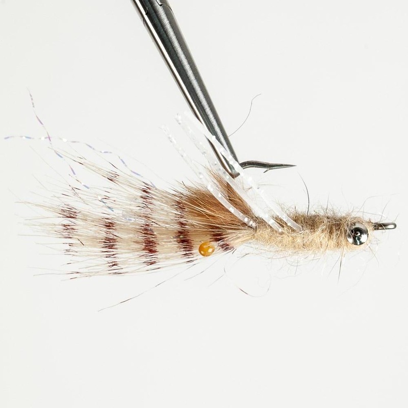 Veverka’s Ghost Shrimp|Tan||4||6