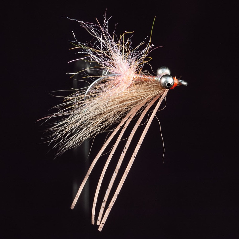 Arctic Bone|Shrimp||6