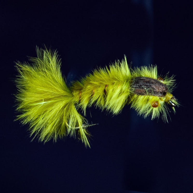 Damsel Nymph|Olive||12||10