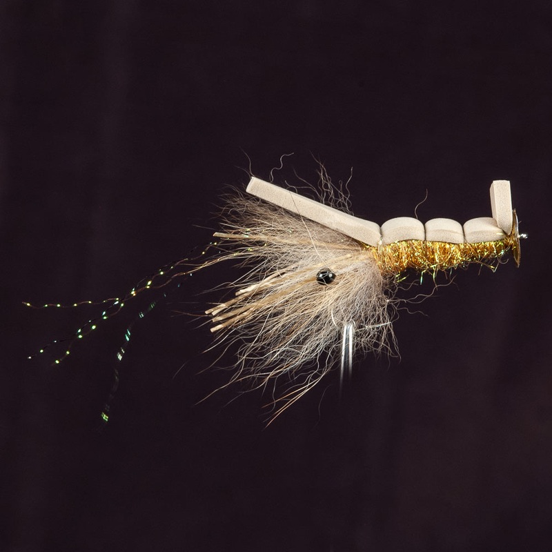 Disco Shrimp, Chicone|Tan||4||2