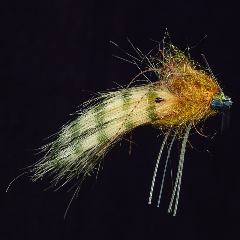 Shrimp Tease|Olive||2