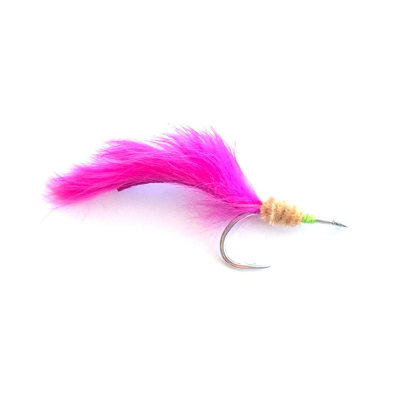 CD Palolo Worm
